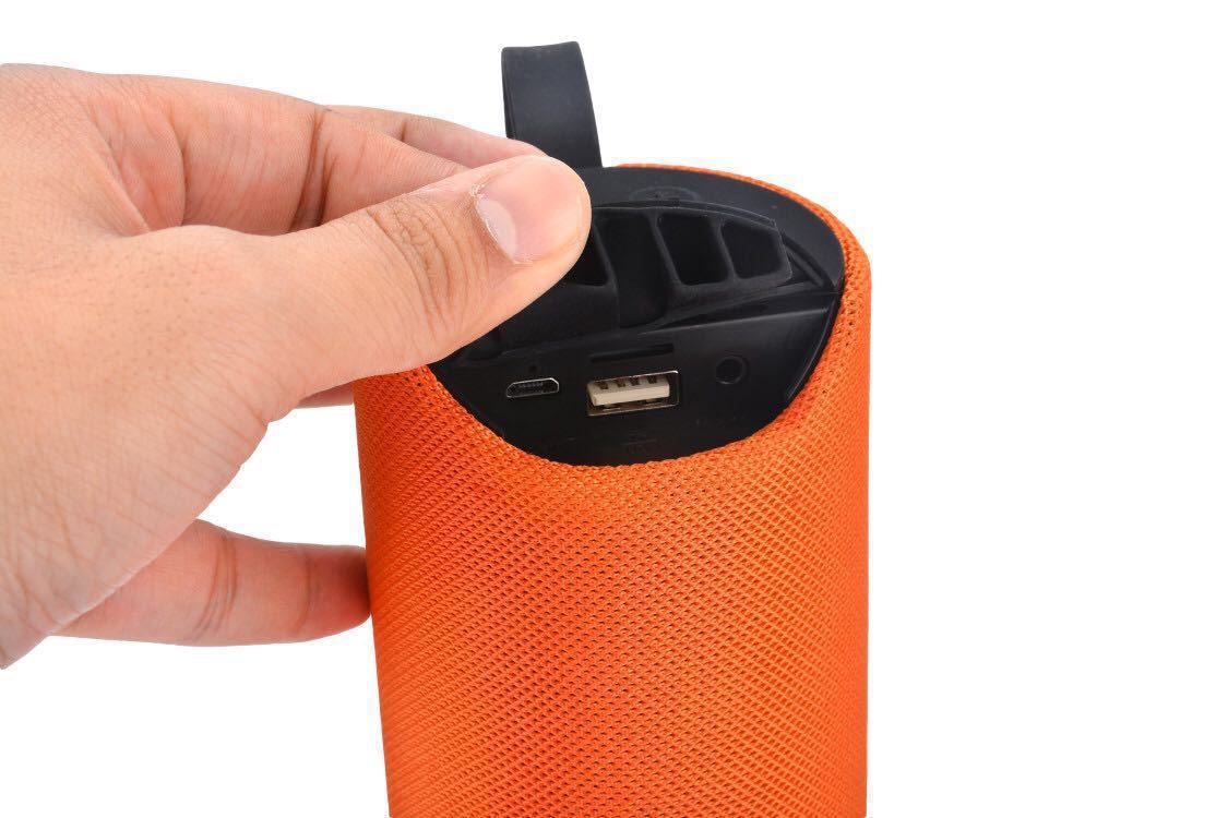 Portable Speaker